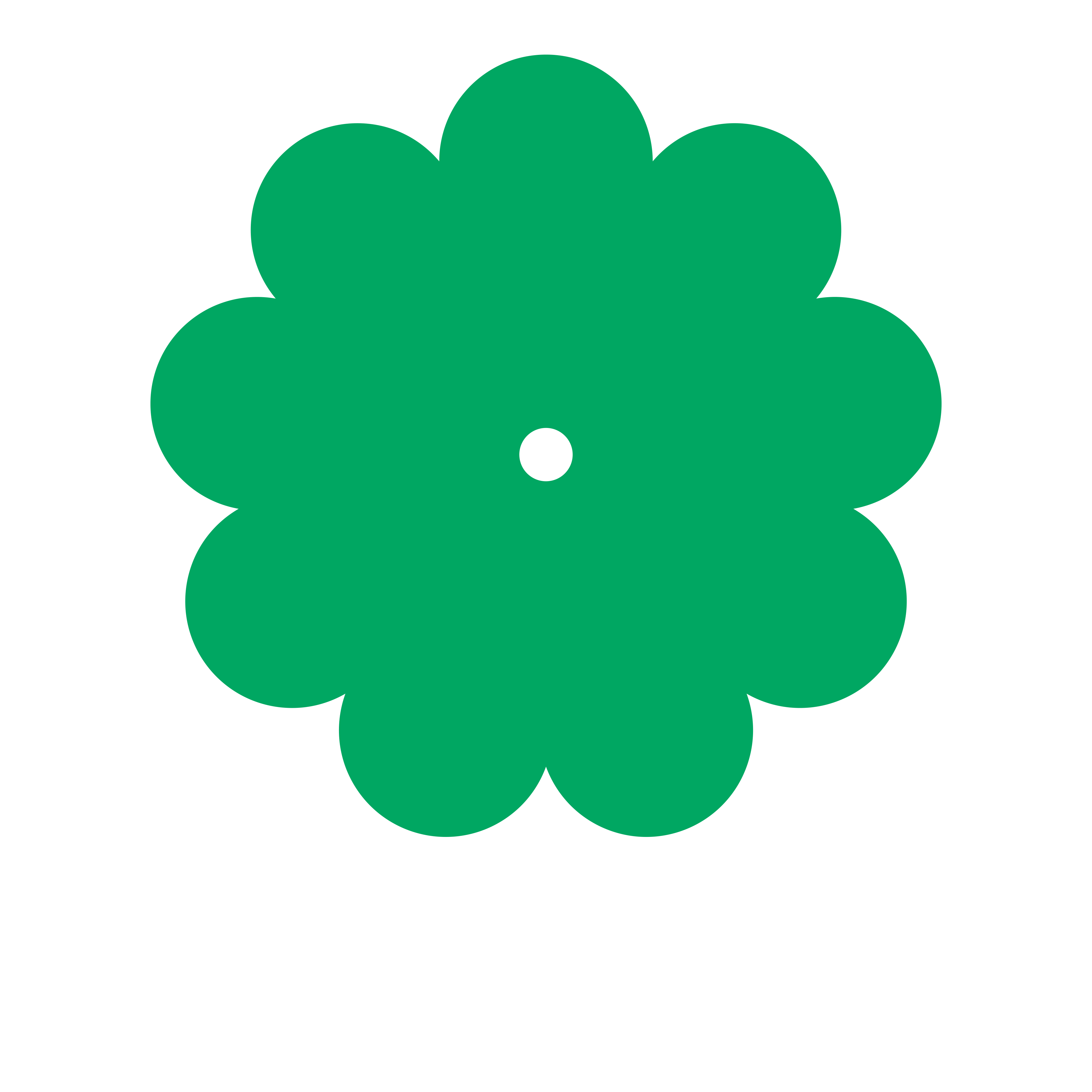 Suzy Shinner Primary Logo Green White